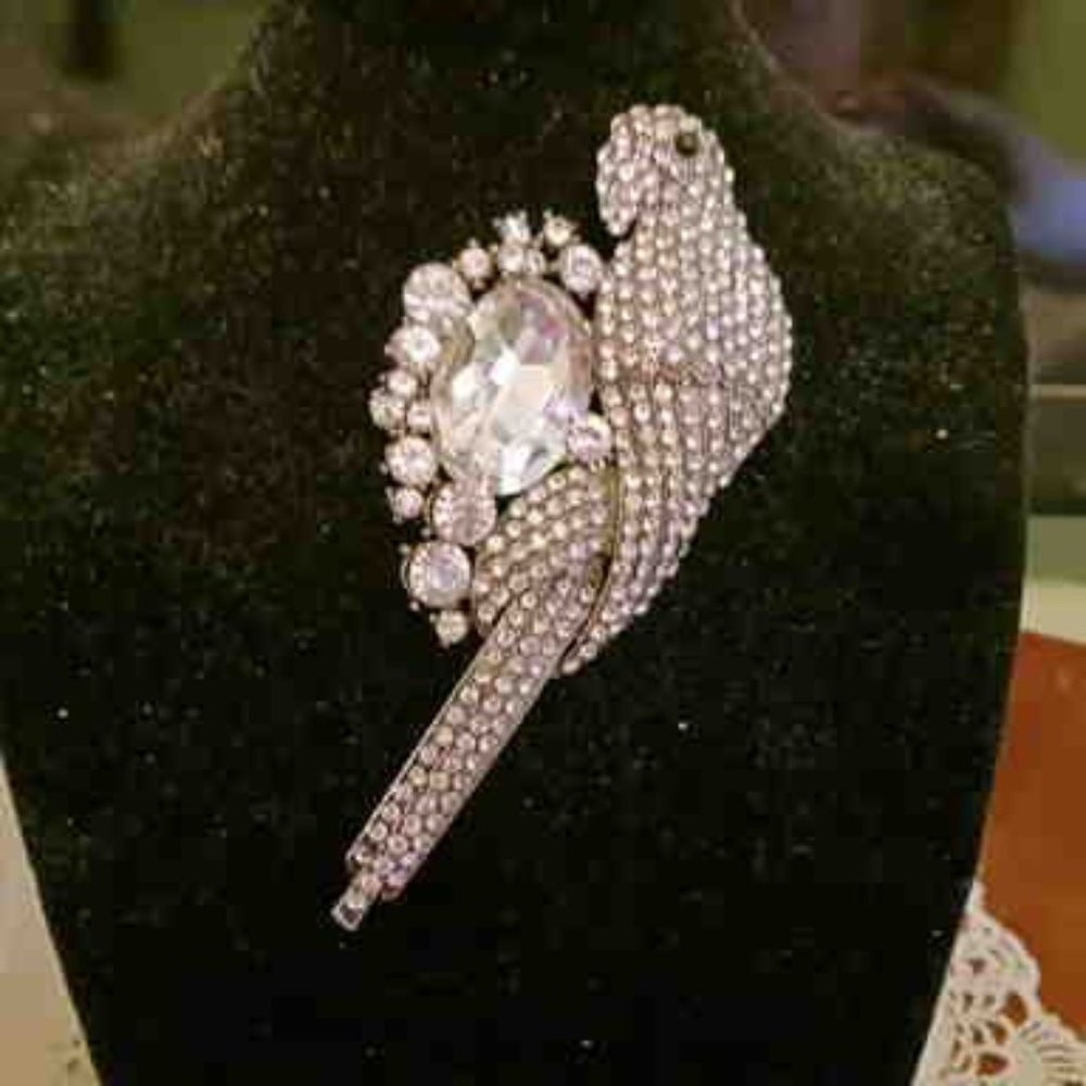Pin Silver Rhinestone Parrot